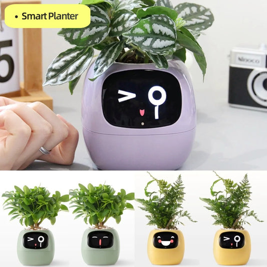 AI Smart Planter